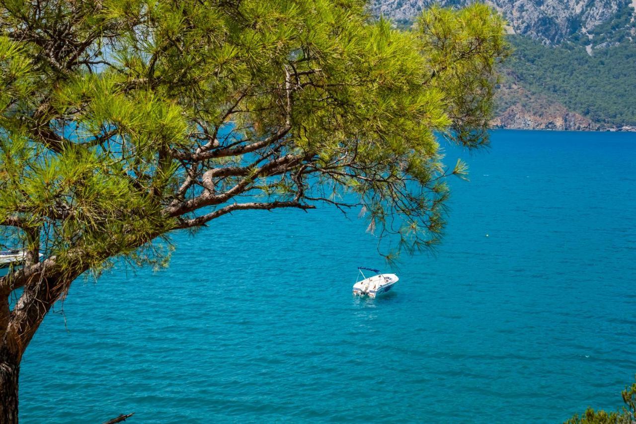 Akya Adrasan Pansiyon Εξωτερικό φωτογραφία